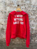 I MISS NOTHING ABOUT YOU